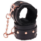 13cfcd29fe56722bc7a397beda6db07a