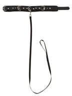 e248203e20c8c27d25367a7172d311a5