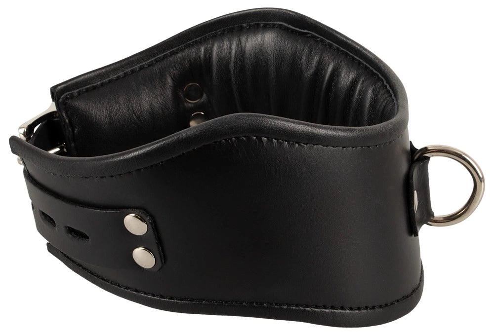 24f556a9abb2bfdec7cf5dc044765396