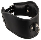 e7f2db41d6d5c9c1dc688c151f7aa374